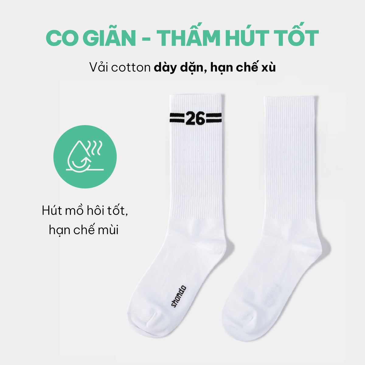 Vớ Cổ Cao CHAMPION 26 Trắng
